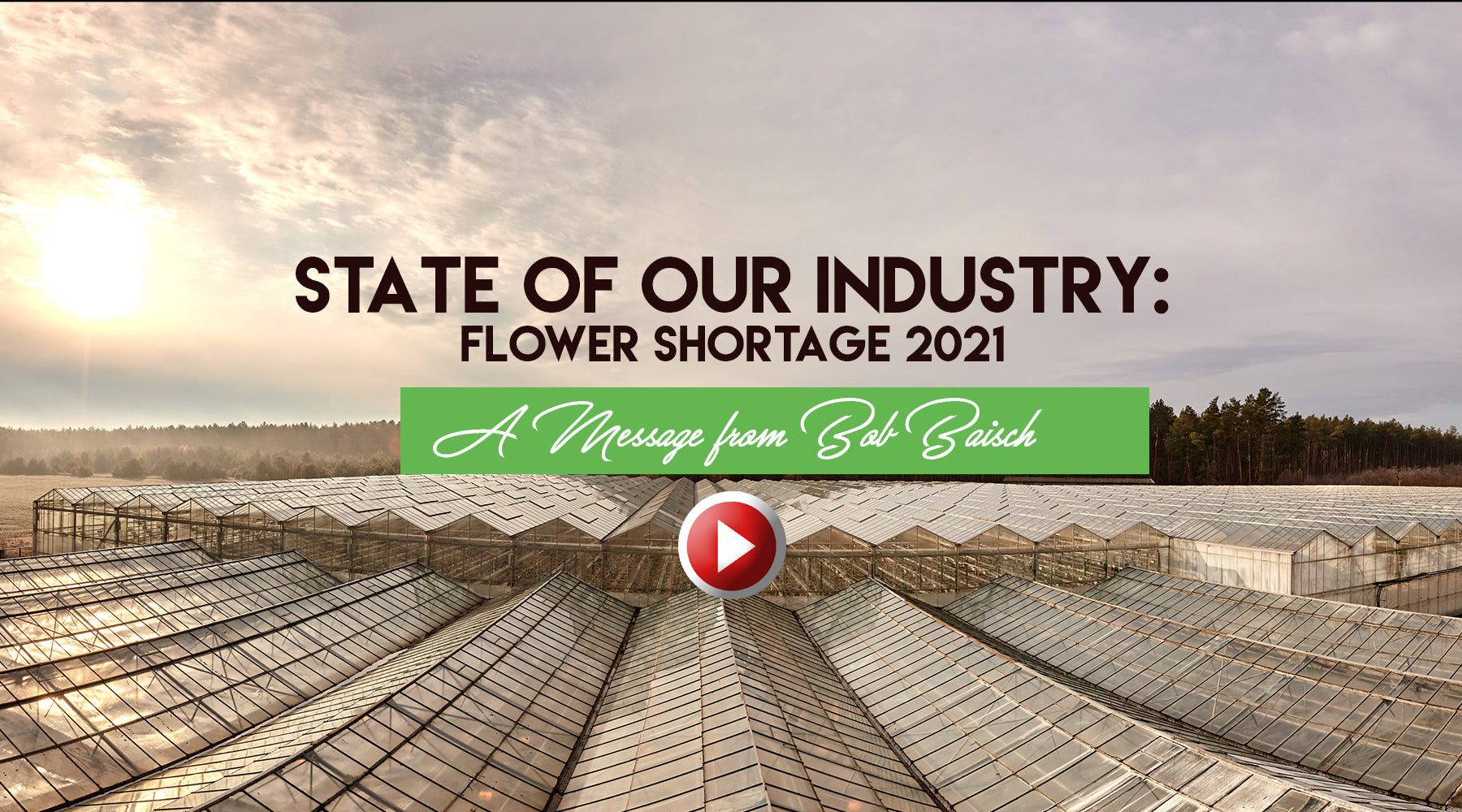 Baisch & Skinner State of the Industry: Flower Shortage Fall 2021