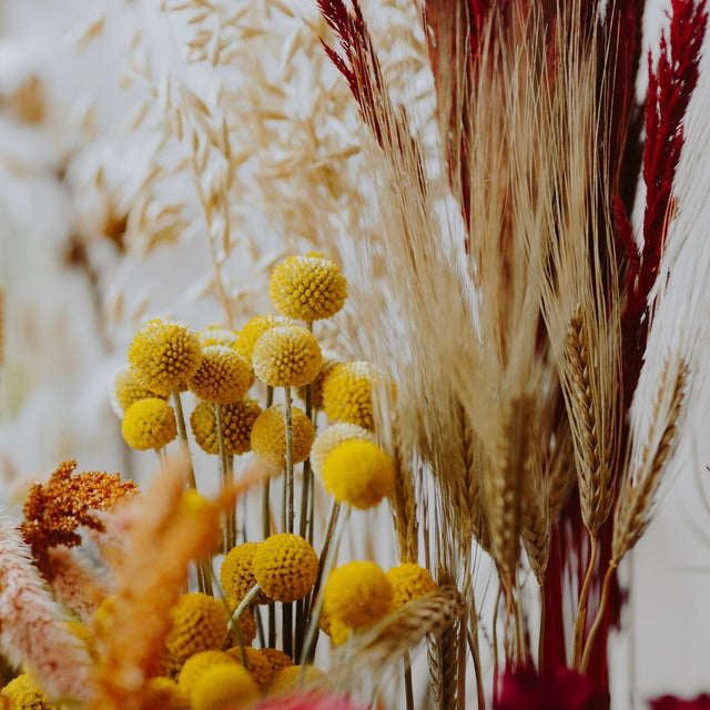 Natural Botanicals