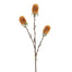29 in Artificial Banksia Stem - Yellow