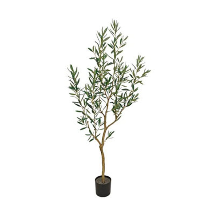5 Ft Olive Tree w/Pot - Green