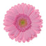 Germini Pink Kimsey