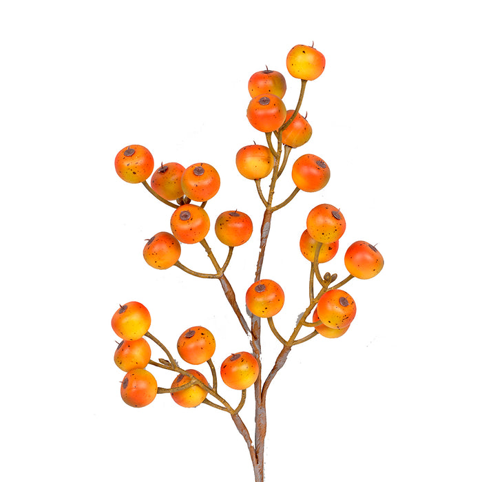 18 in Apple Berry Spray