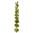 Bells Of Ireland Stem 39 In Green
