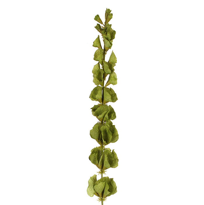 Bells Of Ireland Stem 39 In Green