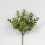 14 in Boxwood Pick - Green