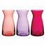 6 3/8" Vibe Vase - Passionfruit Assortment