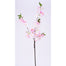 34" Cherry Blossom Spray - Pink/Cream