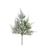 Snow Cedar Pick