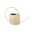 Bright Home Watering Can