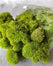 Reindeer Moss - Chartreuse (3 Lb Bulk)