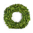 36'' Boxwood Wreath - Green