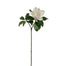 24" Magnolia - Two-Tone White