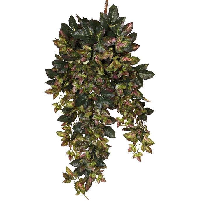 Grape Ivy Giant Hngbush x12 40 In Green Burg