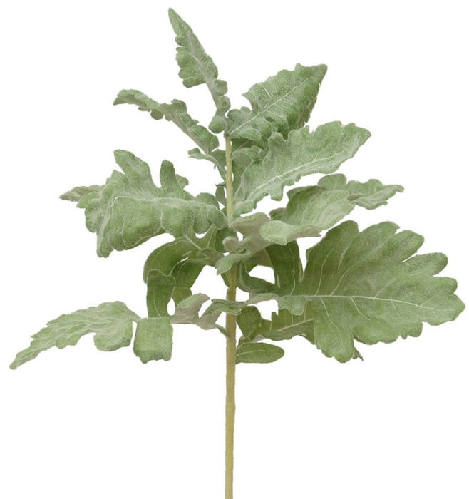 17 in Dusty Miller Stem
