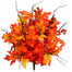 Foliage Bush Orange