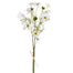 20" Cosmos Bundle - White