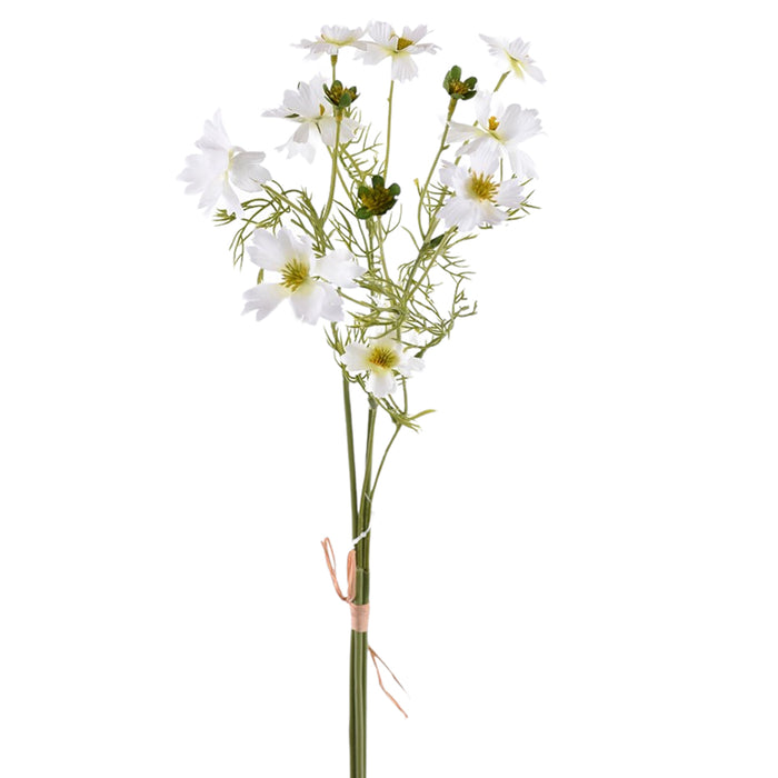 20" Cosmos Bundle - White
