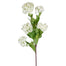 34.5'' Snow Ball Spray