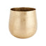 Delany Pot