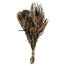 12" Autumn Banksia Foliage Flower - 4oz