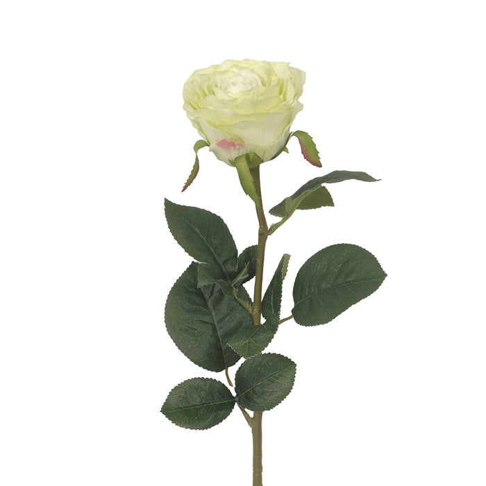 27 in Polyester Rina Rose