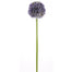 25" Allium Stem - Purple