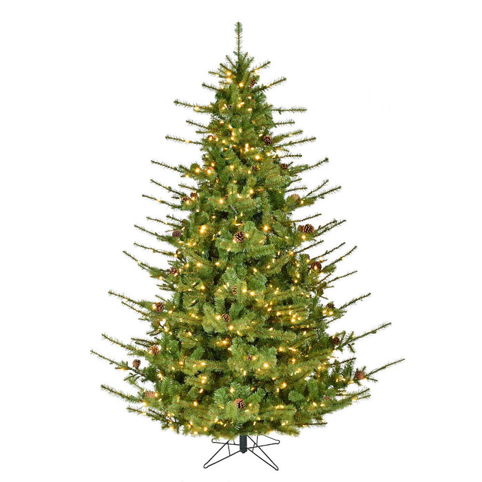 7.5 ft St. Helen's Pine Tree