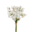 17 in Poly Sweet Pea Bundle Raffia- White