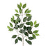 23" Ficus Spray - Green
