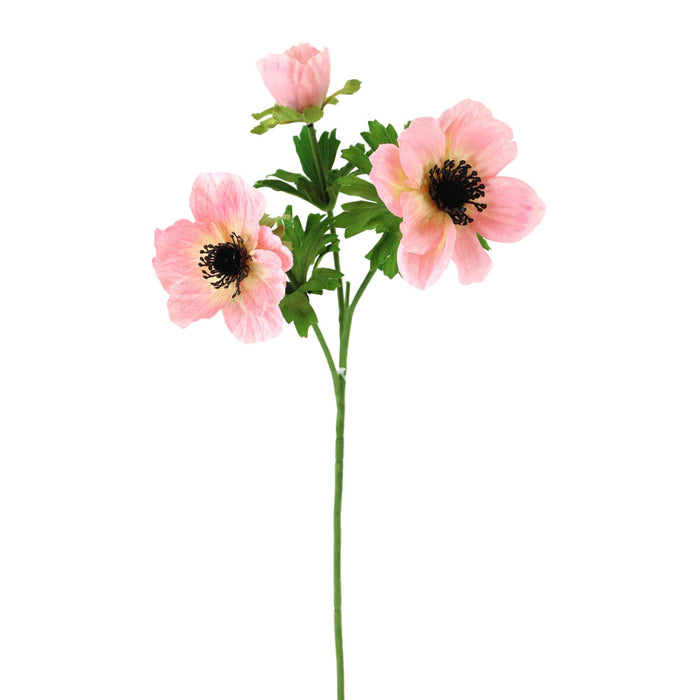 22 in Anemone Spray