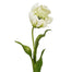 27" Tulip Parrot - White