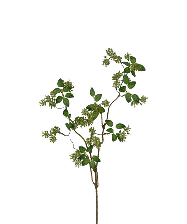 35 in Berry Spray - Green