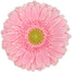 Gerbera Pink Bella Rosa