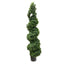 56" Boxwood Spiral Tree - Green