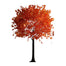 9' Maple Tree - Orange