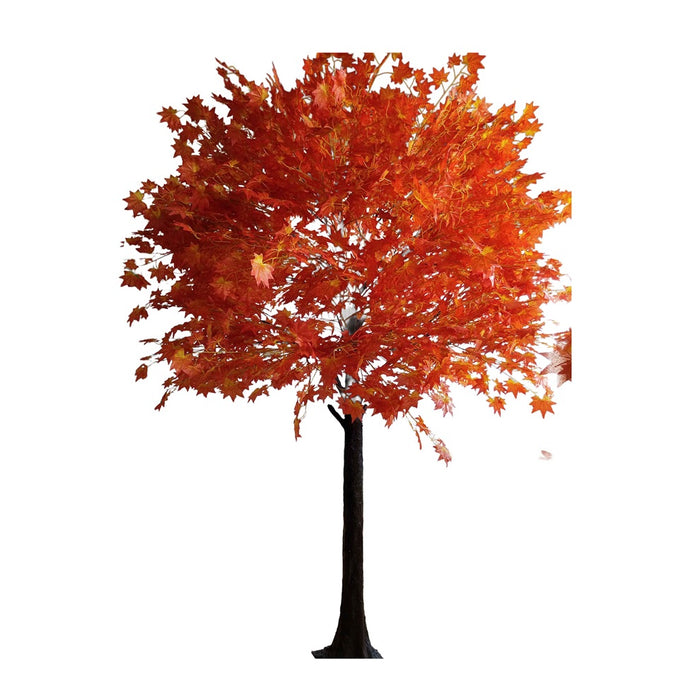 9' Maple Tree - Orange