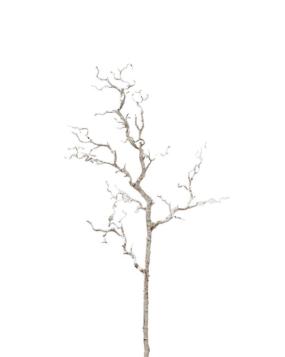 42" Birch Spray - Cream