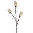 29 in Artificial Banksia Stem - Cream