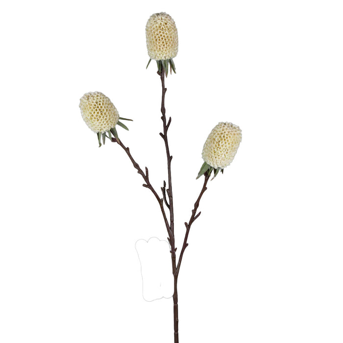 29 in Artificial Banksia Stem - Cream