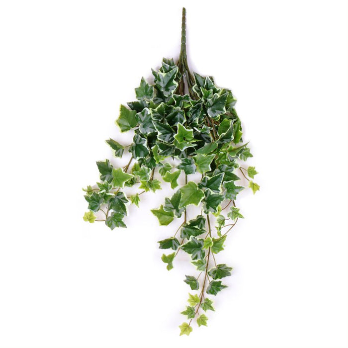 28" Garden Ivy Hanging Bush - Variegated