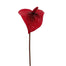22 in Painter's Palette Anthurium