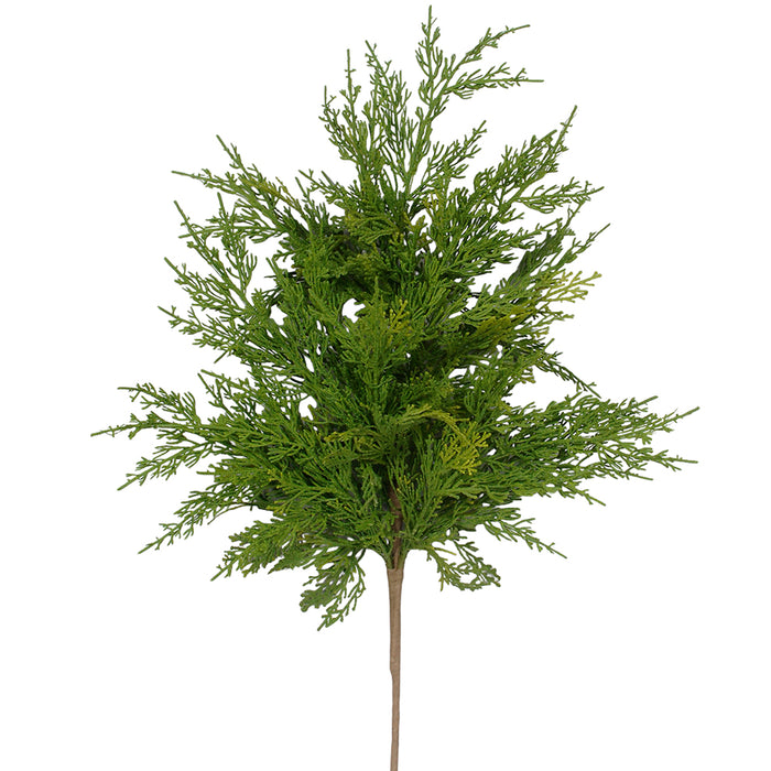 32" Cypress Spray