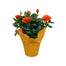 Mini Rose Assorted