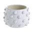 Knobby Fem Rosa Pot