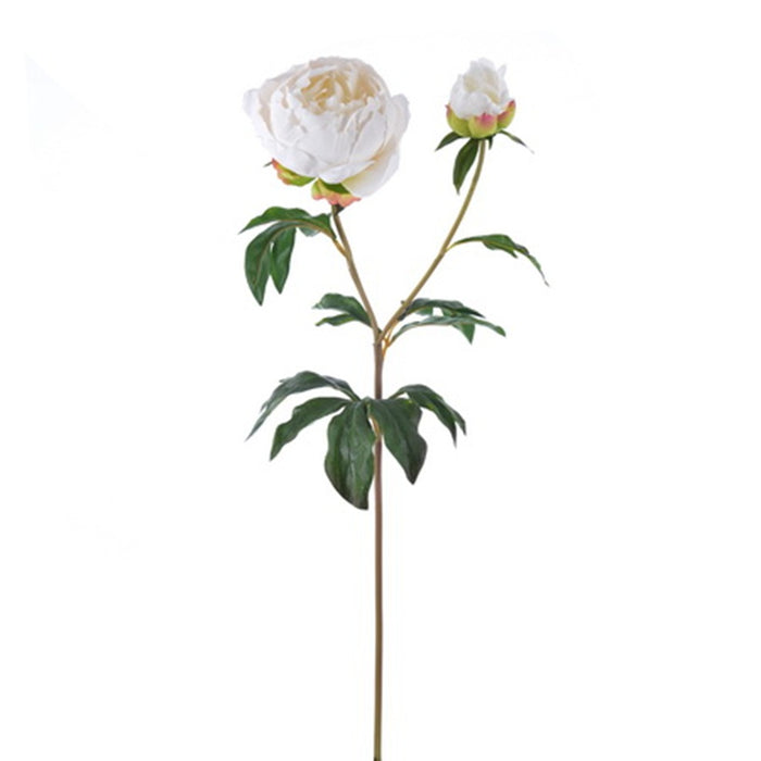 27 in Peony - Beige