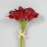 Calla Lily Bundle