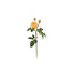 21.5" Natural Touch English Pilgrim Rose - Yellow