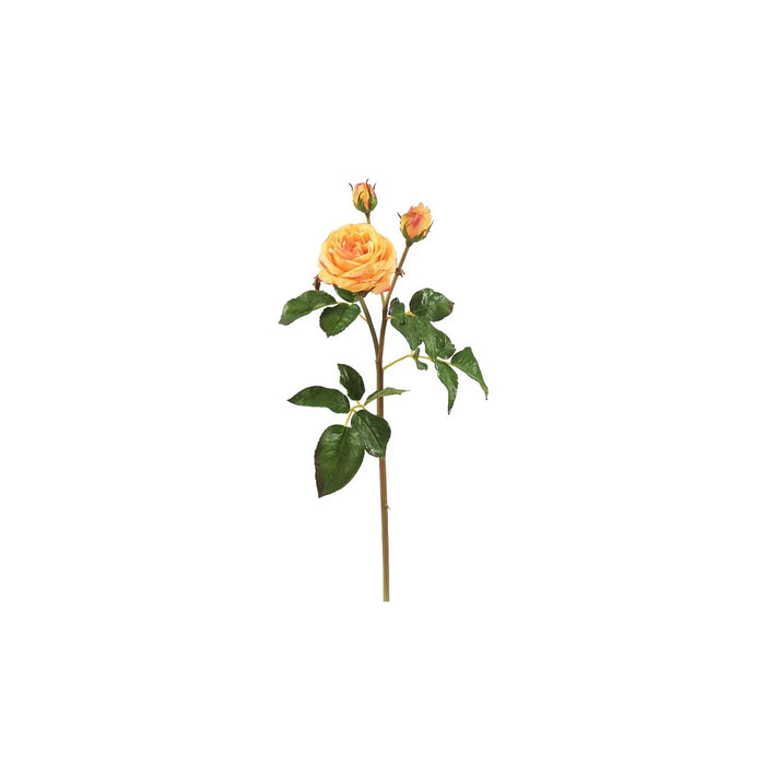 21.5" Natural Touch English Pilgrim Rose - Yellow
