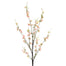 Peach Blossom Spray