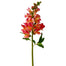23" Snapdragon - Orange